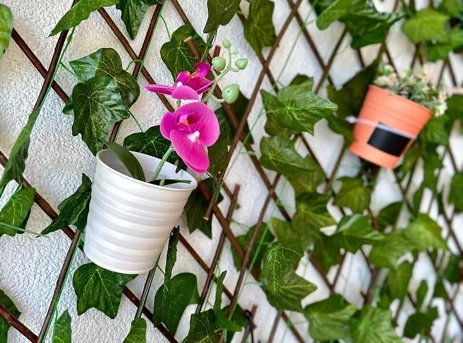 Apartment Tranquilo *